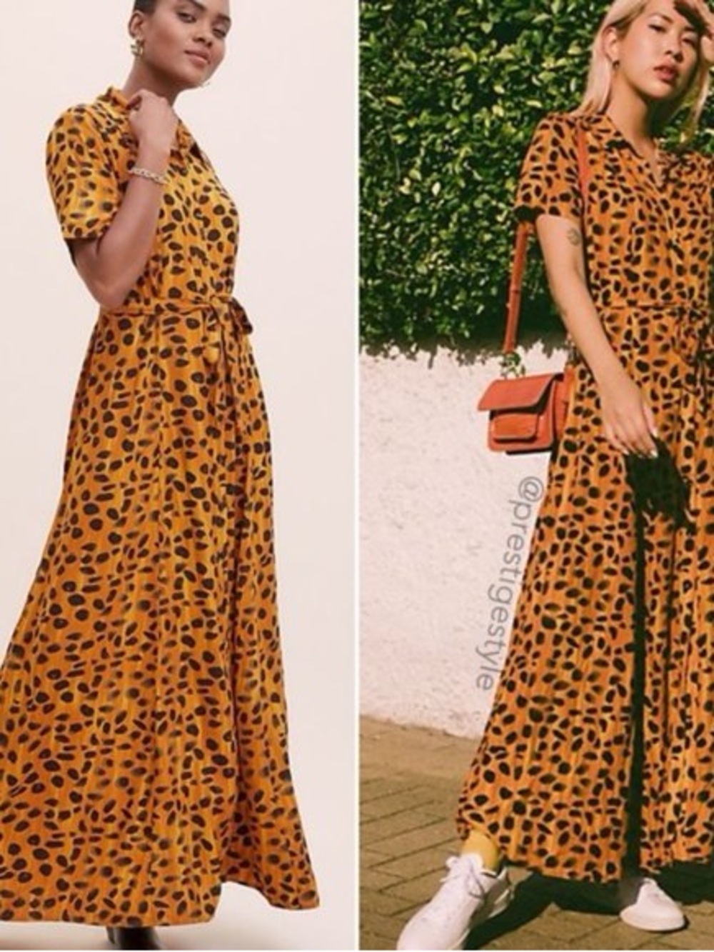 Anthropologie Porridge 4 Leopard Maxi Dress